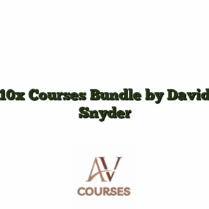 10x Courses Bundle by David Snyder