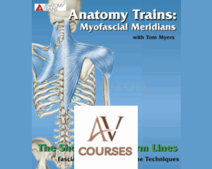 Technique Series: The Shoulder and Arm Lines By Tom Myers
