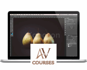 Practical Adobe Photoshop Basics By Khara Plicanic