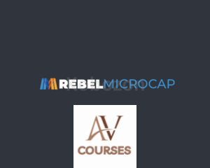 Rebel MicroCap Program By Sean Donahue