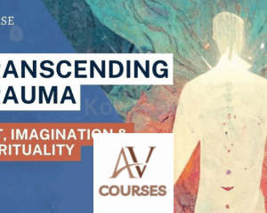 Transcending Trauma: Art, Imagination & Spirituality - Collection By Leanne Domash & Terry Marks-Tarlow