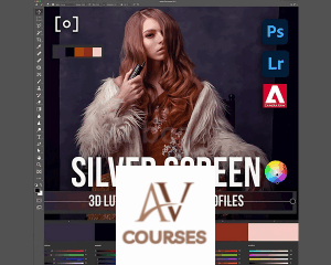 3D LUT Profile Silver Screen by Earth Oliver and Sef McCullough