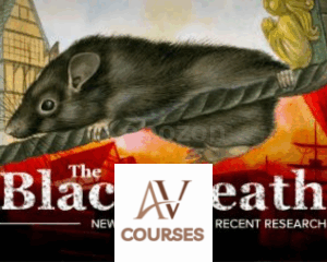 The Black Death: New Lessons from Recent Research By Dorsey Armstrong