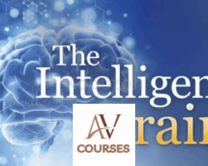 The Intelligent Brain By Richard Haier