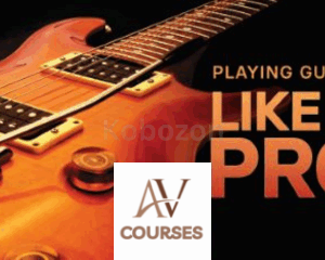 Playing Guitar like a Pro: Lead, Solo, and Group Performance By Colin McAllister