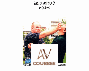 Sil Lim Tao Form - Part 3/4 - Jeet Kune Do Application By Lamar Davis