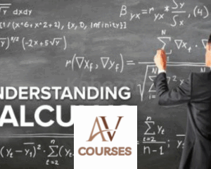 Understanding Calculus: Problems, Solutions and Tips By Bruce Edwards