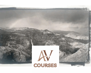 Introduction to Alternative Processing in Photography By Daniel Gregory