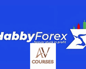 A Complete Beginner to Advanced Trading Mentorship Program By Habby Forex Trading Academy