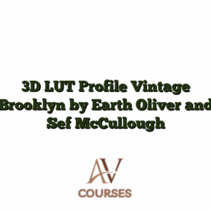 3D LUT Profile Vintage Brooklyn by Earth Oliver and Sef McCullough