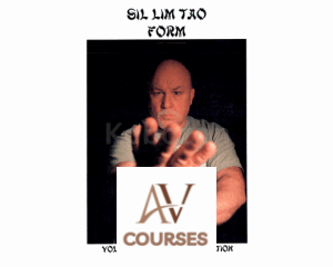 Sil Lim Tao Form - Part 2/4 - Jun Fan Gung Fu Application By Lamar Davis