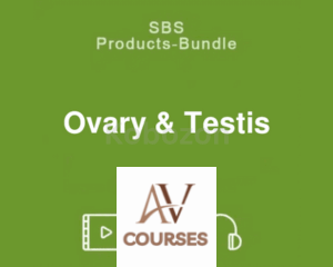 Ovary and Testis - Seminar Tutorial By GHK Academy