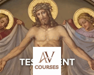The New Testament By Bart Ehrman