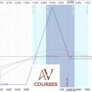 Amy Meissner – The HV7 Option Trading System