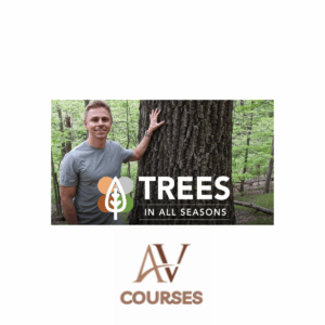Adam Haritan - Trees In All Seasons