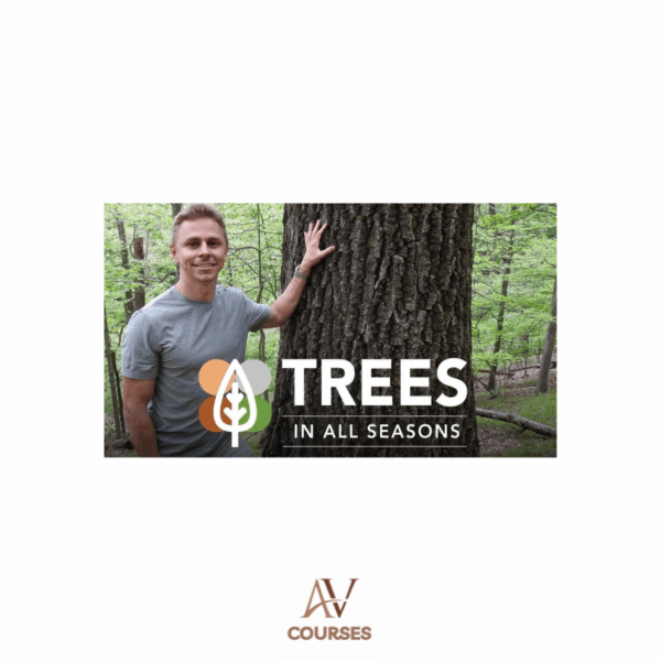 Adam Haritan - Trees In All Seasons
