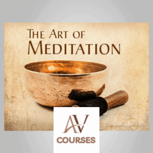 Adyashanti - The Art of Meditation (Study Course, Feb 2016)