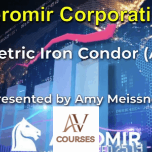 Aeromir - Amy Meissner’s AIC-22 Workshop