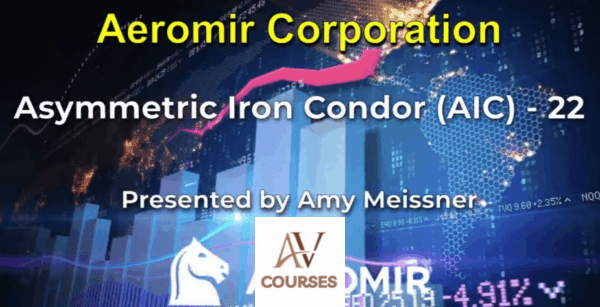 Aeromir - Amy Meissner’s AIC-22 Workshop
