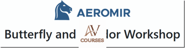 Aeromir – Butterfly and Condor Workshop