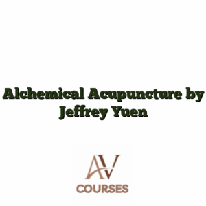 Alchemical Acupuncture by Jeffrey Yuen