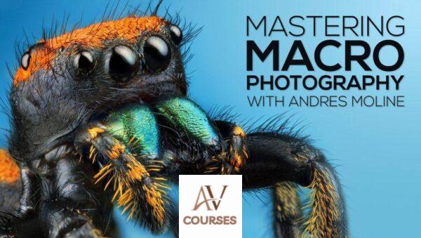 Andres Moline - Mastering Macro Photography