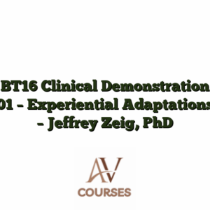 BT16 Clinical Demonstration 01 - Experiential Adaptations - Jeffrey Zeig, PhD