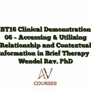 BT16 Clinical Demonstration 06 - Accessing & Utilizing Relationship and Contextual Information in Brief Therapy - Wendel Ray, PhD
