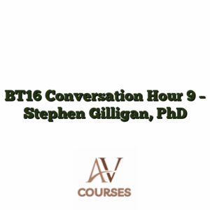 BT16 Conversation Hour 9 - Stephen Gilligan, PhD
