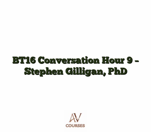 BT16 Conversation Hour 9 - Stephen Gilligan, PhD