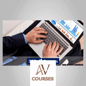 Beginner to Pro in Excel Financial Modeling and Valuation