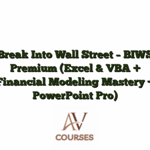 Break Into Wall Street - BIWS Premium (Excel & VBA + Financial Modeling Mastery + PowerPoint Pro)