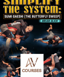 Brian Glick - Simplify The System Sumi Gaeshi The Butterfly Sweep