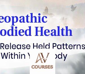 Brian Siddhartha Ingle - Somatic & Osteopathic Movement for Embodied Health