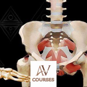 Buffy Owens - Awaken Your Pelvic Floor Part One (Feldenkrais)