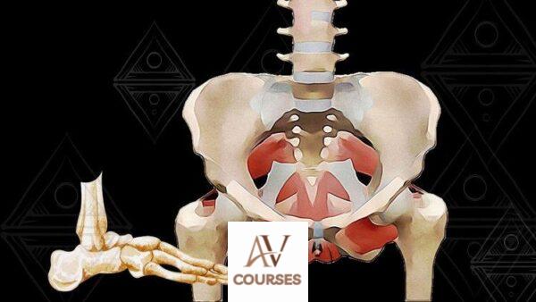 Buffy Owens - Awaken Your Pelvic Floor Part One (Feldenkrais)