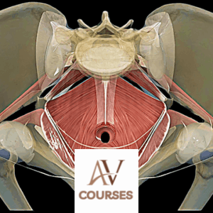 Buffy Owens - Pelvic Power & Sacred Sacrum (Feldenkrais)