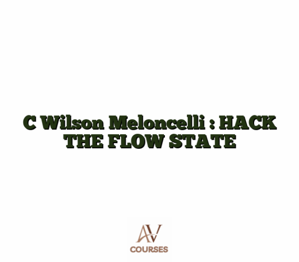C Wilson Meloncelli : HACK THE FLOW STATE