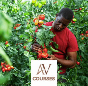 Centre of Excellence - Horticulture Diploma Course