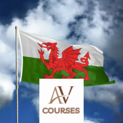 Centre of Excellence - Intermediate Welsh Diploma Course