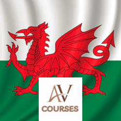 Centre of Excellence - Welsh for Beginners Diploma Course
