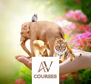Centre of Excellence - Wildlife Rehabilitation Diploma Course
