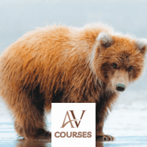 Charly Savely - The Wildlife Photography Workshop