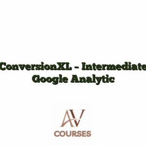 ConversionXL - Intermediate Google Analytic