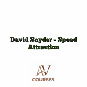 David Snyder - Speed Attraction
