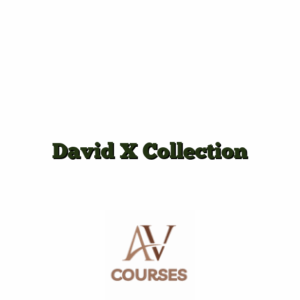 David X Collection