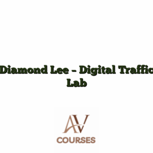 Diamond Lee - Digital Traffic Lab