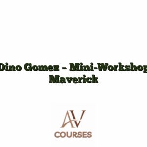 Dino Gomez - Mini-Workshop Maverick