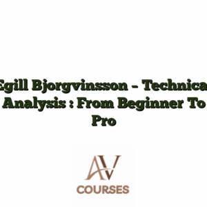 Egill Bjorgvinsson - Technical Analysis : From Beginner To Pro