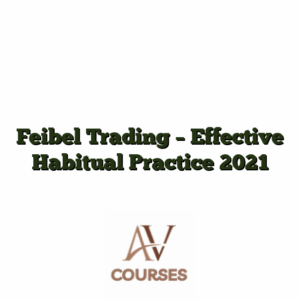 Feibel Trading - Effective Habitual Practice 2021